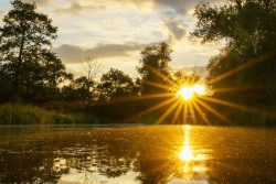 Monatsevent - BodyConcept Monatsevent - BodyConcept